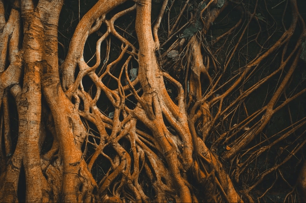 Acupuncture Xperts — holistic healthcare clinic in Boca Raton, Florida