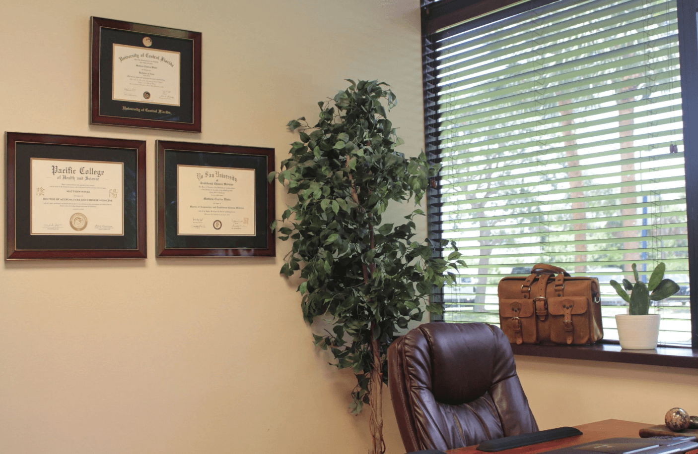 Acupuncture Xperts wellness space designed for whole-body healing in Boca Raton, Florida