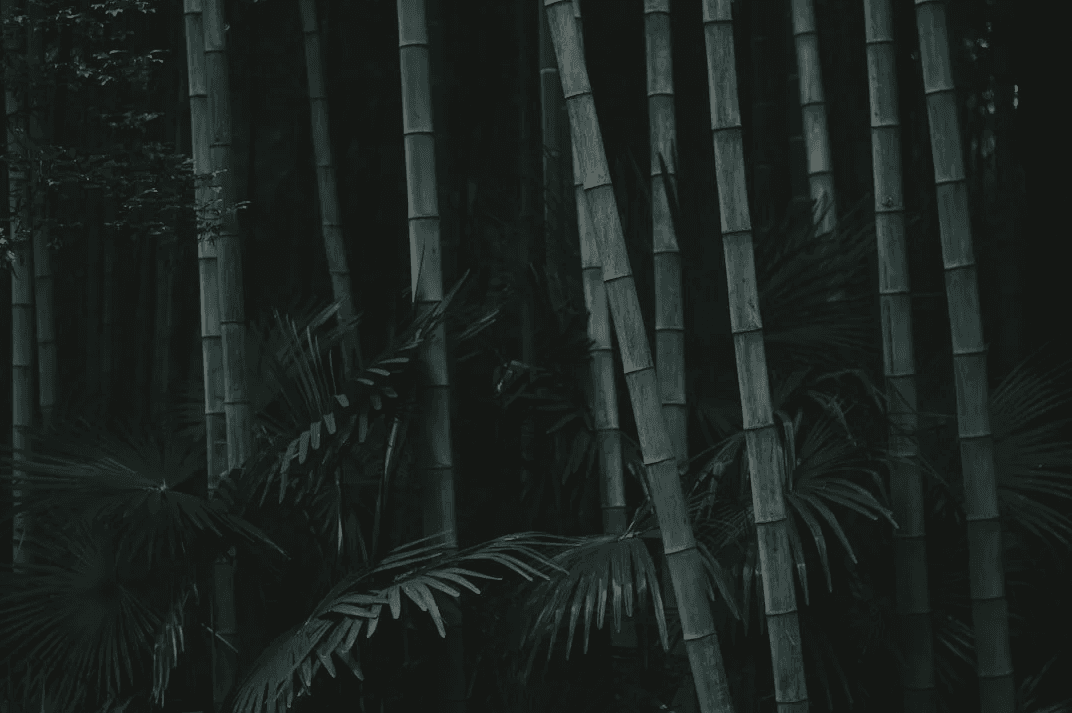 Treatment enhancements at Acupuncture Xperts